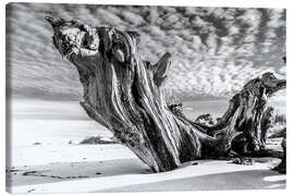 Canvas print  Old tree root on the beach (monochrome) - Sascha Kilmer