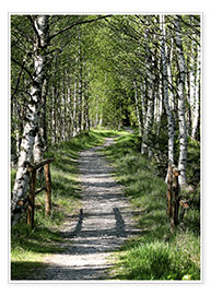 Poster Trails and paths III