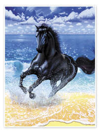 Premium poster Black stallion