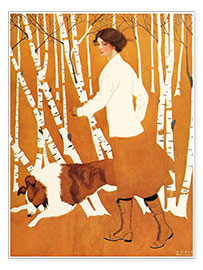 Poster  Birches - Clarence Coles Phillips