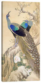 Canvas print  Two peacocks in spring - Imao Keinen