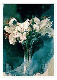 Poster White Lilies