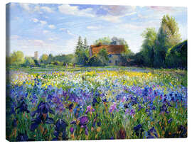 Canvas print  Field of flowers in the sunset - Timothy Easton