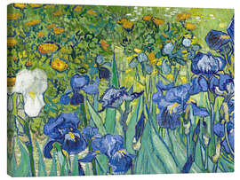 Canvas print  Irissen (fragment) - Vincent van Gogh