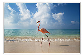 Poster Flamingo on the beach