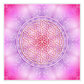 Poster  Flower of life - unconditional love - Dolphins DreamDesign