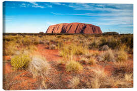 Canvas print  Ayers Rock in the evening - Matteo Colombo