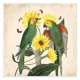 Poster  Oh my parrot II - Mandy Reinmuth