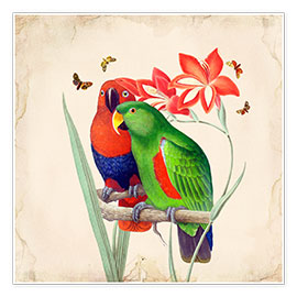 Premium poster  Oh My Parrot I - Mandy Reinmuth