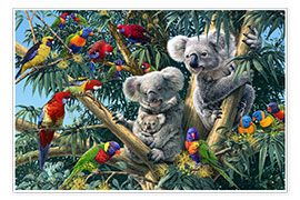 Premium poster Koala Outback