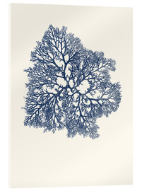 Acrylglas print  Navy coral 3 - Patruschka