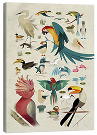 Canvas print  Birds - Dieter Braun