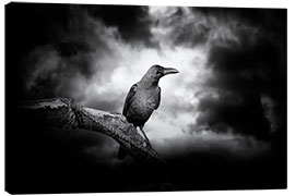 Canvas print  Raven in the moonlight