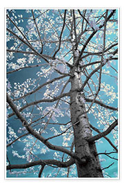 Premium poster infrared tree