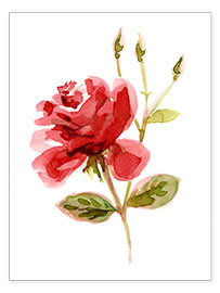 Premium poster Red Rose