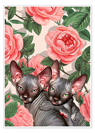 Premium poster  Sphynx kitten with roses - Mandy Reinmuth