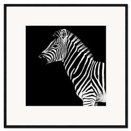 Ingelijste kunstdruk  Zebra on black - Philippe HUGONNARD