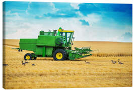 Canvas print  Harvest on the field