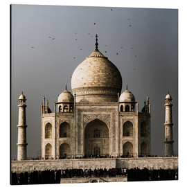 Aluminium print  The Taj Mahal - Sebastian Rost