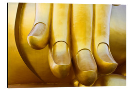 Aluminium print  Fingers of the Buddha