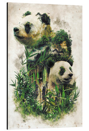 Aluminium print  The Giant Panda - Barrett Biggers