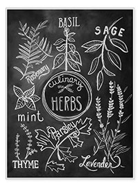 Poster Herbs