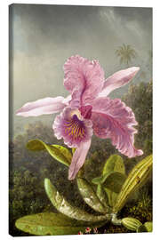 Canvas print  Hummingbird and orchid (detail) - Martin Johnson Heade