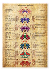 Premium poster Meaning of the chakras