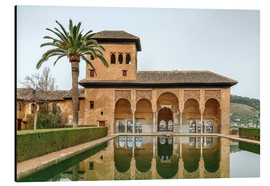 Aluminium print  Pool in the Alhambra garden, Granada