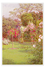 Poster A Rose Garden