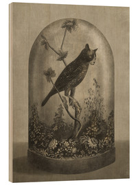 Hout print  Curiosities Cabinet Cat Owl - Terry Fan