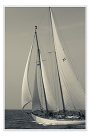 Premium poster Sailboat in the wind at Cape Ann