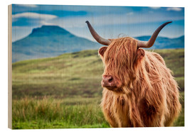 Hout print  Highland cattle, Scotland - Art Couture