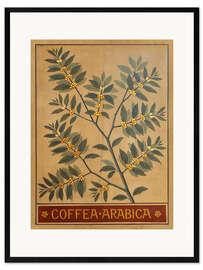 Ingelijste kunstdruk  Arabica coffee